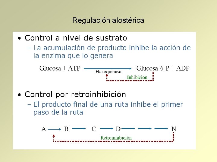 Regulación alostérica 