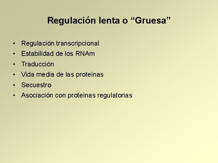 Regulación lenta o “Gruesa” • Regulación transcripcional • Estabilidad de los RNAm • Traducción
