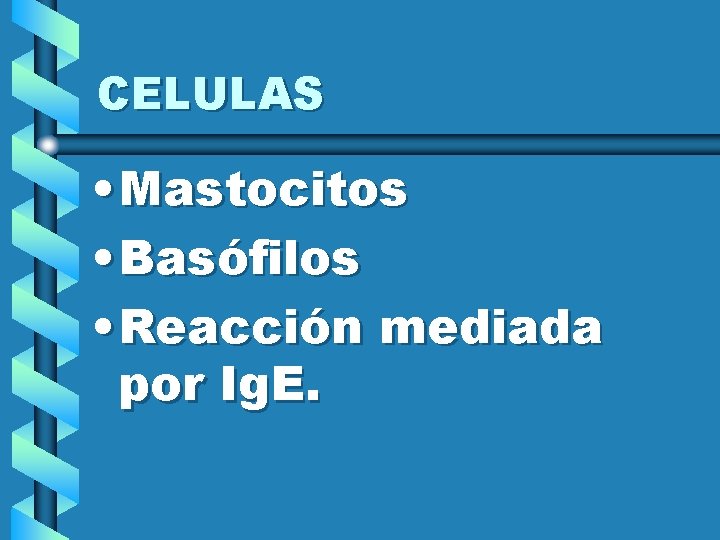 CELULAS • Mastocitos • Basófilos • Reacción mediada por Ig. E. 