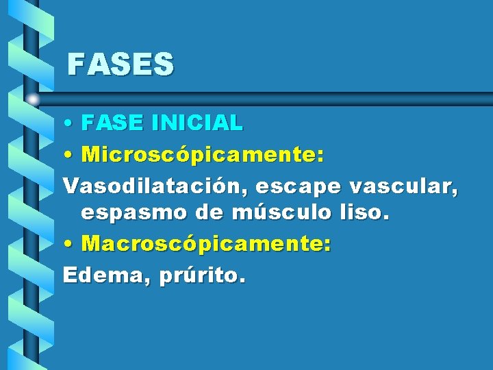 FASES • FASE INICIAL • Microscópicamente: Vasodilatación, escape vascular, espasmo de músculo liso. •