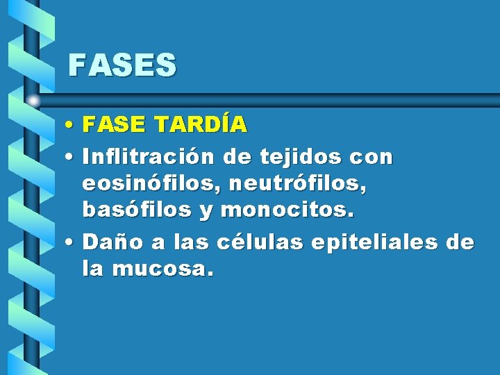 FASES • FASE TARDÍA • Inflitración de tejidos con eosinófilos, neutrófilos, basófilos y monocitos.