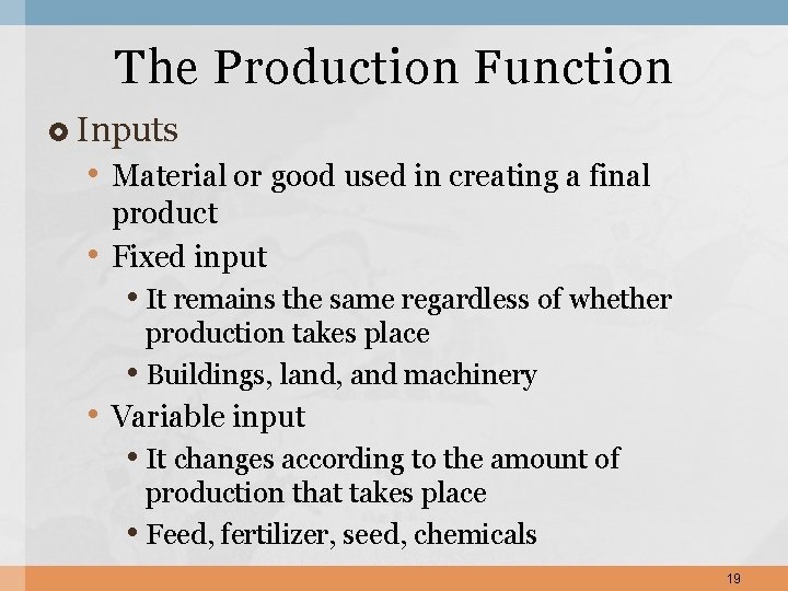 The Production Function Inputs • Material or good used in creating a final •