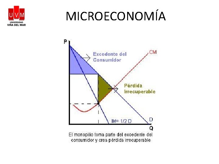 MICROECONOMÍA 