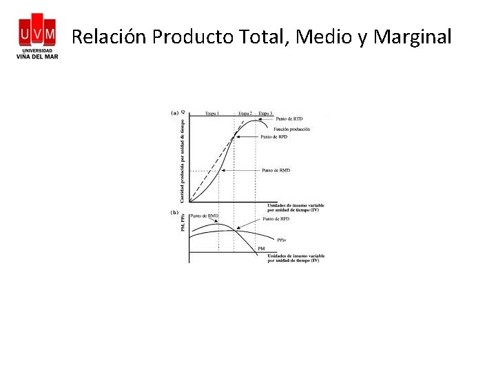 Relación Producto Total, Medio y Marginal 