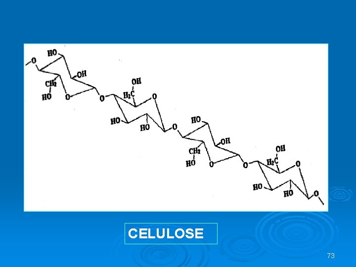 CELULOSE 73 