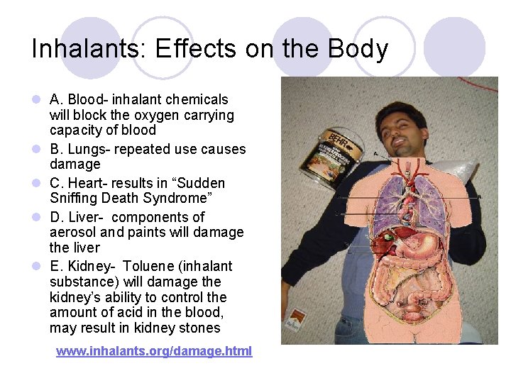 Inhalants: Effects on the Body l A. Blood- inhalant chemicals will block the oxygen