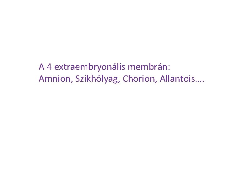 A 4 extraembryonális membrán: Amnion, Szikhólyag, Chorion, Allantois…. 