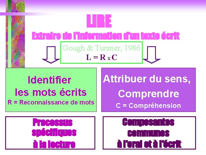LIRE Extraire de l’information d’un texte écrit Gough & Tunmer, 1986 L = R