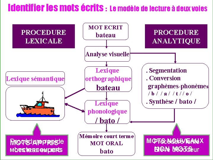 Identifier les mots écrits : PROCEDURE LEXICALE Le modèle de lecture à deux voies