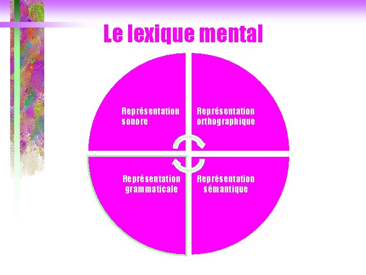 Le lexique mental Représentation sonore Représentation orthographique Représentation grammaticale Représentation sémantique 