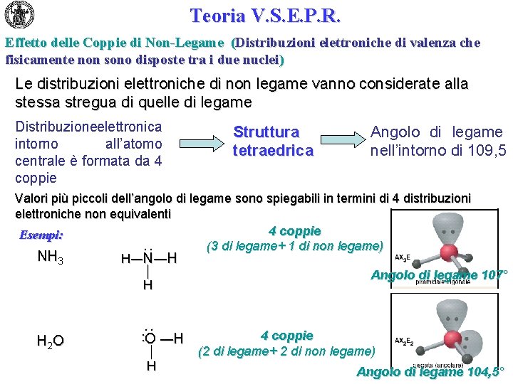 Teoria V. S. E. P. R. Effetto delle Coppie di Non-Legame (Distribuzioni elettroniche di