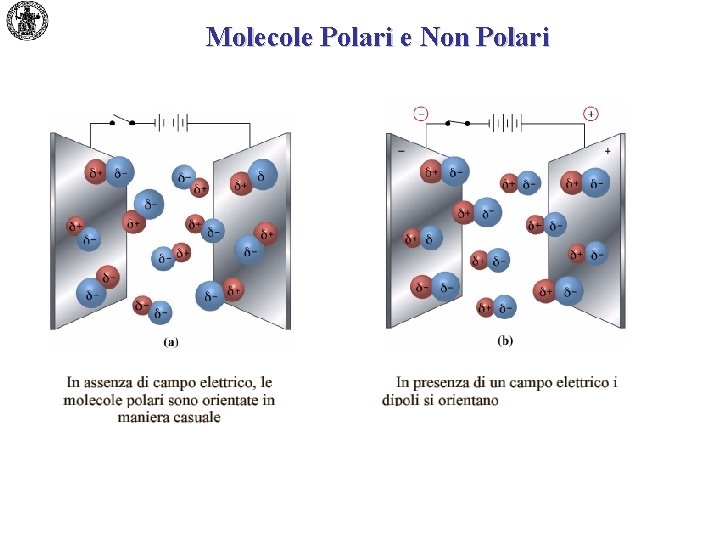 Molecole Polari e Non Polari 