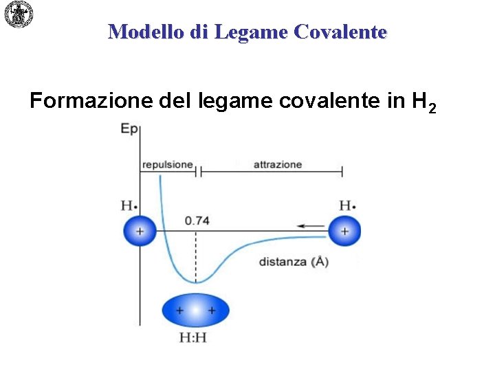 Modello di Legame Covalente Formazione del legame covalente in H 2 