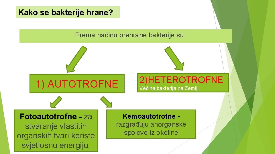 Kako se bakterije hrane? Prema načinu prehrane bakterije su: 1) AUTOTROFNE Fotoautotrofne - za