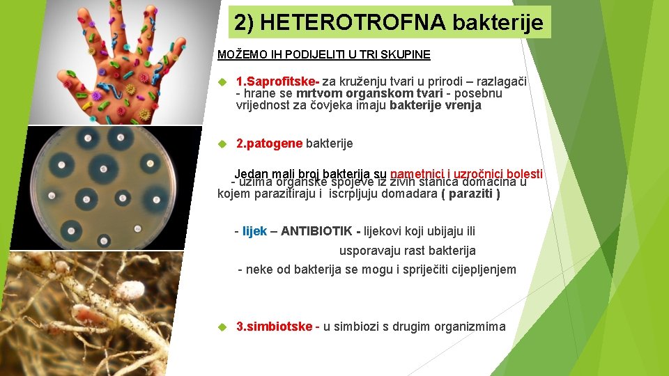 2) HETEROTROFNA bakterije MOŽEMO IH PODIJELITI U TRI SKUPINE 1. Saprofitske- za kruženju tvari