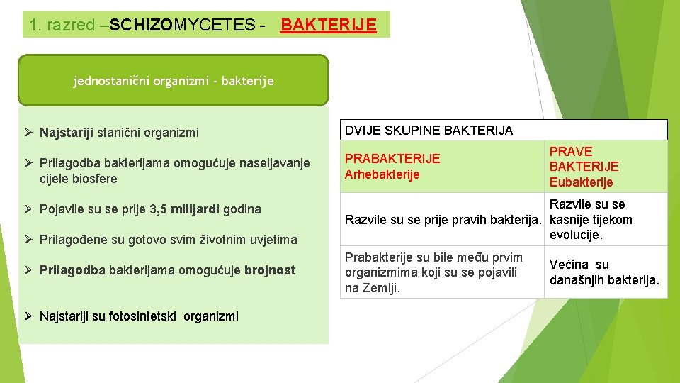 1. razred –SCHIZOMYCETES - BAKTERIJE jednostanični organizmi - bakterije Ø Najstariji stanični organizmi DVIJE