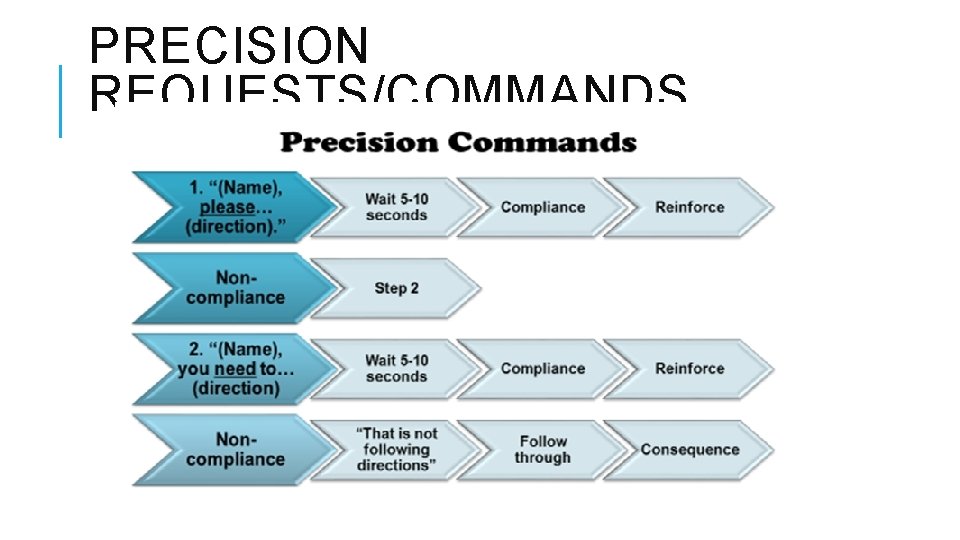 PRECISION REQUESTS/COMMANDS 