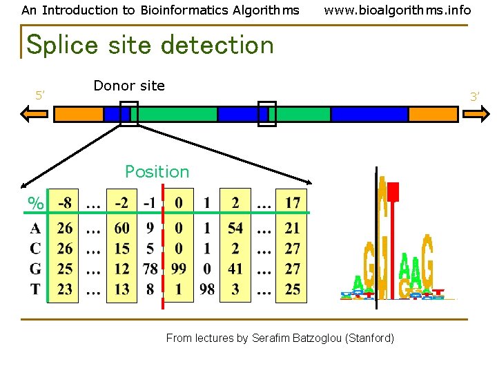An Introduction to Bioinformatics Algorithms www. bioalgorithms. info Splice site detection 5’ Donor site An Introduction to Bioinformatics Algorithms www. bioalgorithms. info Splice site detection 5’ Donor site