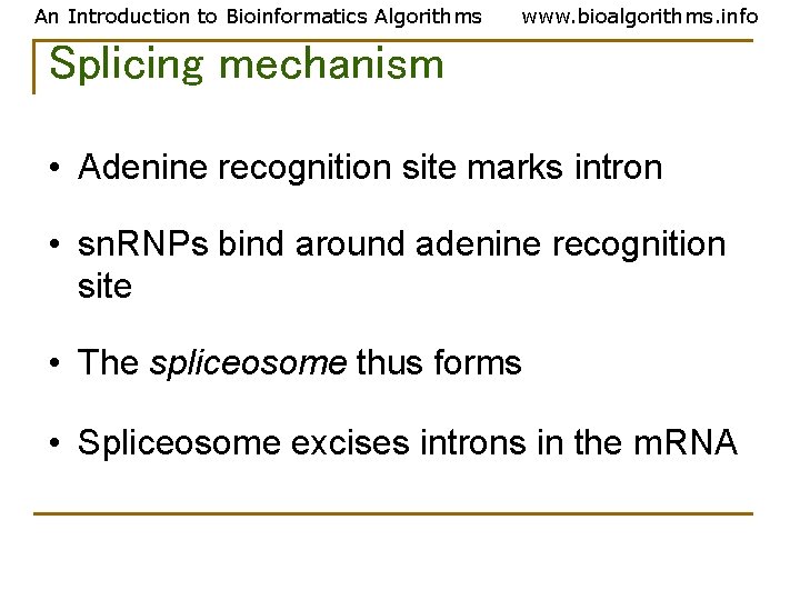 An Introduction to Bioinformatics Algorithms www. bioalgorithms. info Splicing mechanism • Adenine recognition site An Introduction to Bioinformatics Algorithms www. bioalgorithms. info Splicing mechanism • Adenine recognition site