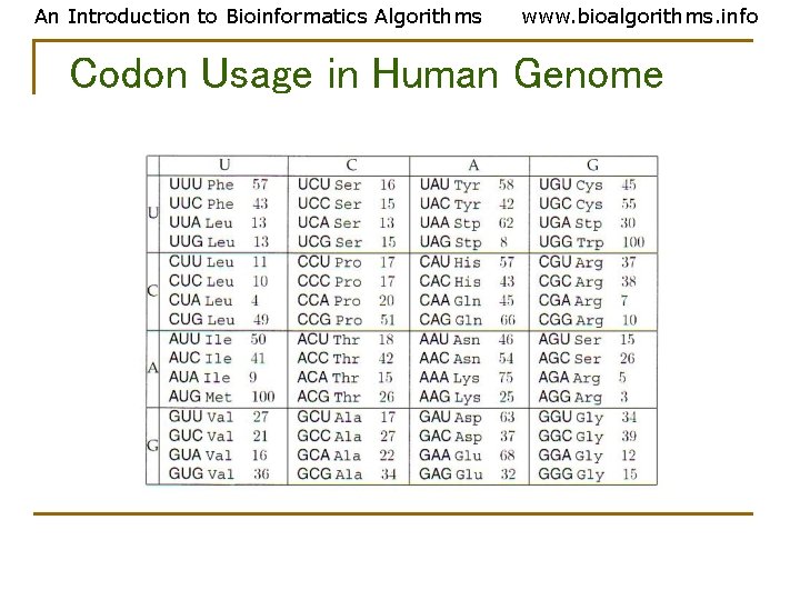 An Introduction to Bioinformatics Algorithms www. bioalgorithms. info Codon Usage in Human Genome An Introduction to Bioinformatics Algorithms www. bioalgorithms. info Codon Usage in Human Genome
