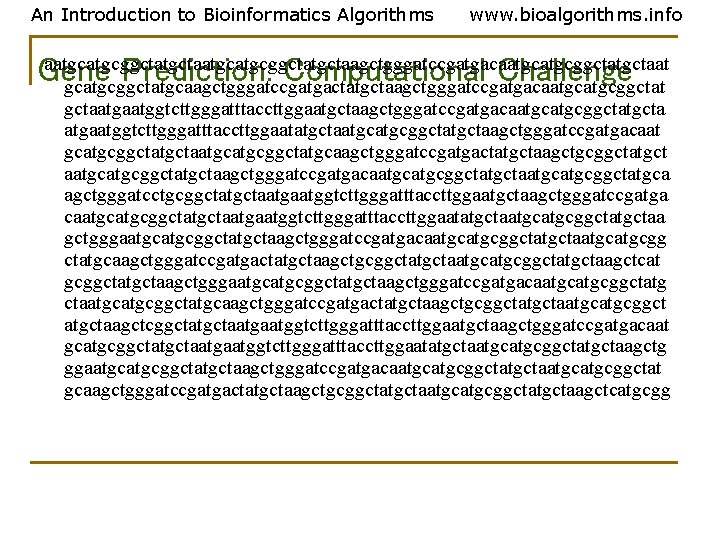 An Introduction to Bioinformatics Algorithms www. bioalgorithms. info aatgcatgcggctatgctaagctgggatccgatgacaatgcggctatgctaat Gene Prediction: Computational Challenge gcatgcggctatgcaagctgggatccgatgactatgctaagctgggatccgatgacaatgcggctat An Introduction to Bioinformatics Algorithms www. bioalgorithms. info aatgcatgcggctatgctaagctgggatccgatgacaatgcggctatgctaat Gene Prediction: Computational Challenge gcatgcggctatgcaagctgggatccgatgactatgctaagctgggatccgatgacaatgcggctat