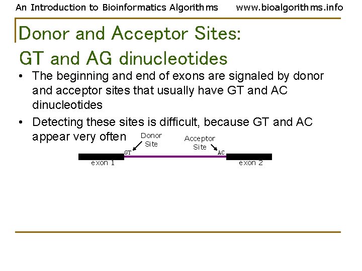 An Introduction to Bioinformatics Algorithms www. bioalgorithms. info Donor and Acceptor Sites: GT and An Introduction to Bioinformatics Algorithms www. bioalgorithms. info Donor and Acceptor Sites: GT and