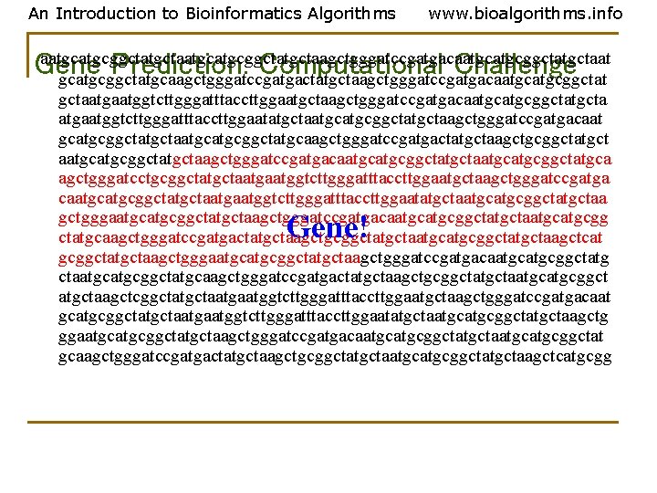 An Introduction to Bioinformatics Algorithms www. bioalgorithms. info aatgcatgcggctatgctaagctgggatccgatgacaatgcggctatgctaat Gene Prediction: Computational Challenge gcatgcggctatgcaagctgggatccgatgactatgctaagctgggatccgatgacaatgcggctat An Introduction to Bioinformatics Algorithms www. bioalgorithms. info aatgcatgcggctatgctaagctgggatccgatgacaatgcggctatgctaat Gene Prediction: Computational Challenge gcatgcggctatgcaagctgggatccgatgactatgctaagctgggatccgatgacaatgcggctat