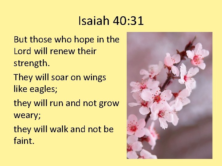 Isaiah 40: 31 But those who hope in the Lord will renew their strength.