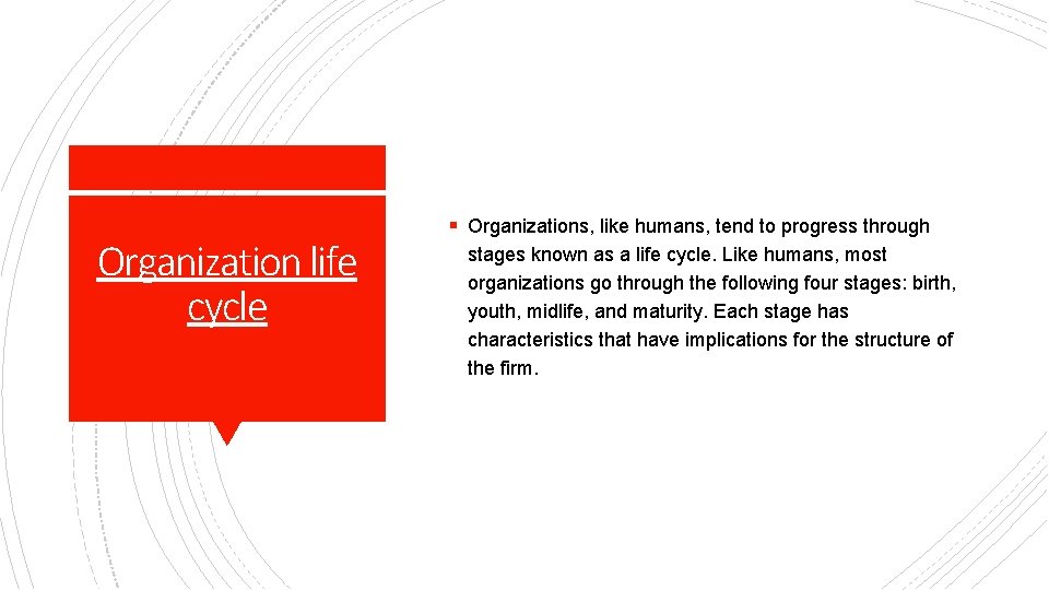 Organization life cycle § Organizations, like humans, tend to progress through stages known as