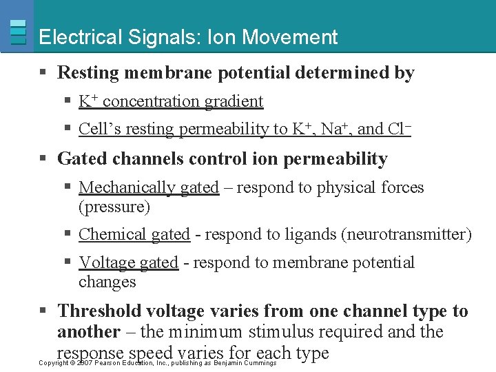 Electrical Signals: Ion Movement § Resting membrane potential determined by § K+ concentration gradient