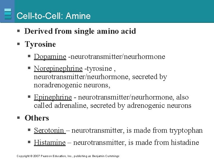 Cell-to-Cell: Amine § Derived from single amino acid § Tyrosine § Dopamine -neurotransmitter/neurhormone §