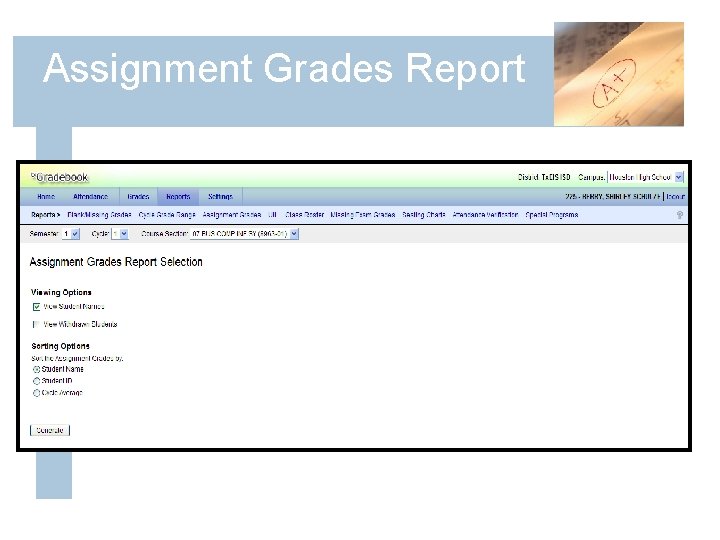 Assignment Grades Report 