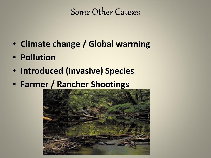 Some Other Causes • • Climate change / Global warming Pollution Introduced (Invasive) Species