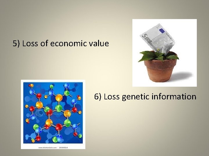 5) Loss of economic value 6) Loss genetic information 