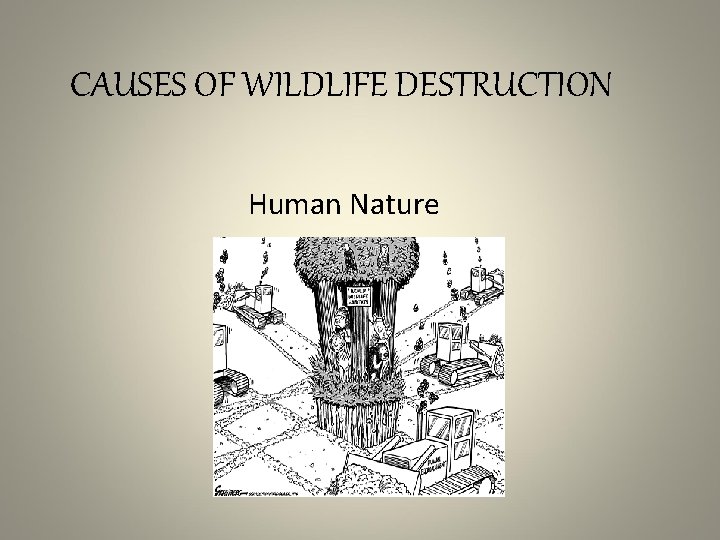 CAUSES OF WILDLIFE DESTRUCTION Human Nature 