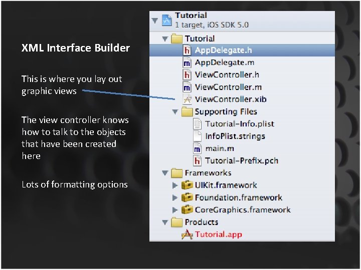 XML Interface Builder This is where you lay out graphic views The view controller