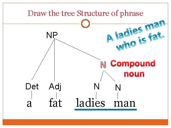 Draw the tree Structure of phrase NP N Compound noun Det Adj a fat Draw the tree Structure of phrase NP N Compound noun Det Adj a fat
