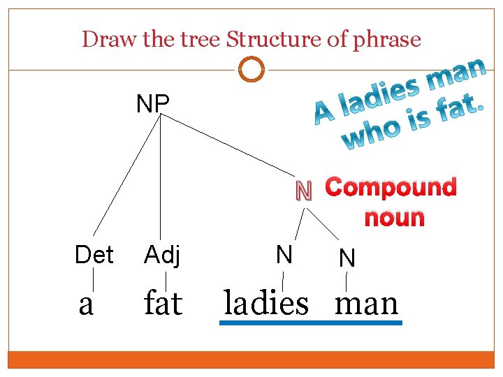 Draw the tree Structure of phrase NP N Compound noun Det Adj a fat