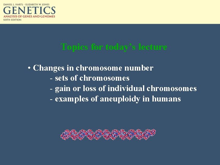 Topics for today’s lecture • Changes in chromosome number - sets of chromosomes -