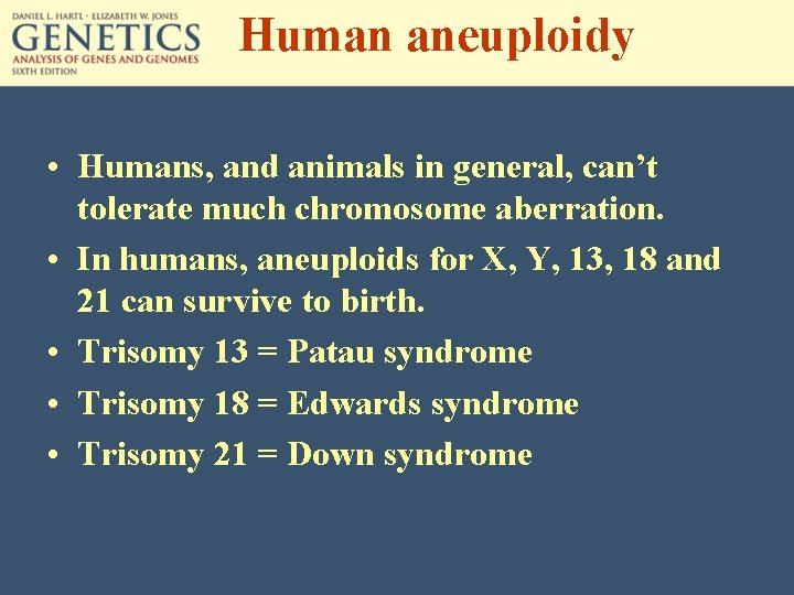 Human aneuploidy • Humans, and animals in general, can’t tolerate much chromosome aberration. •