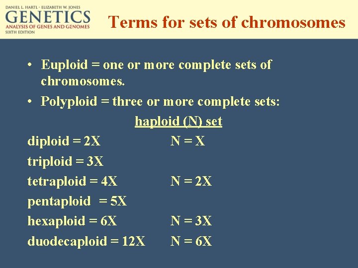Terms for sets of chromosomes • Euploid = one or more complete sets of