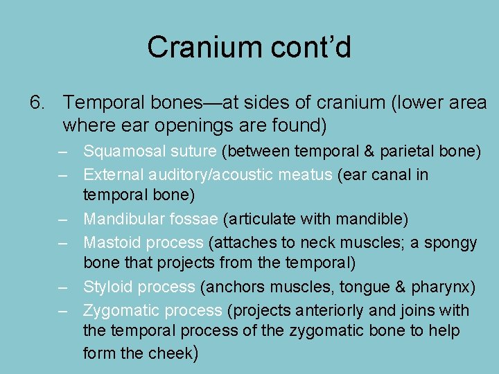 Cranium cont’d 6. Temporal bones—at sides of cranium (lower area where ear openings are