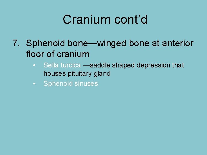 Cranium cont’d 7. Sphenoid bone—winged bone at anterior floor of cranium • • Sella