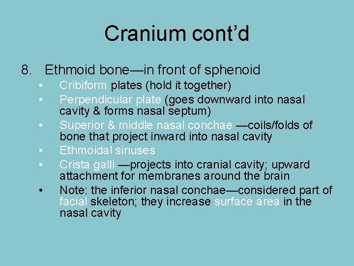 Cranium cont’d 8. Ethmoid bone—in front of sphenoid • • • Cribiform plates (hold