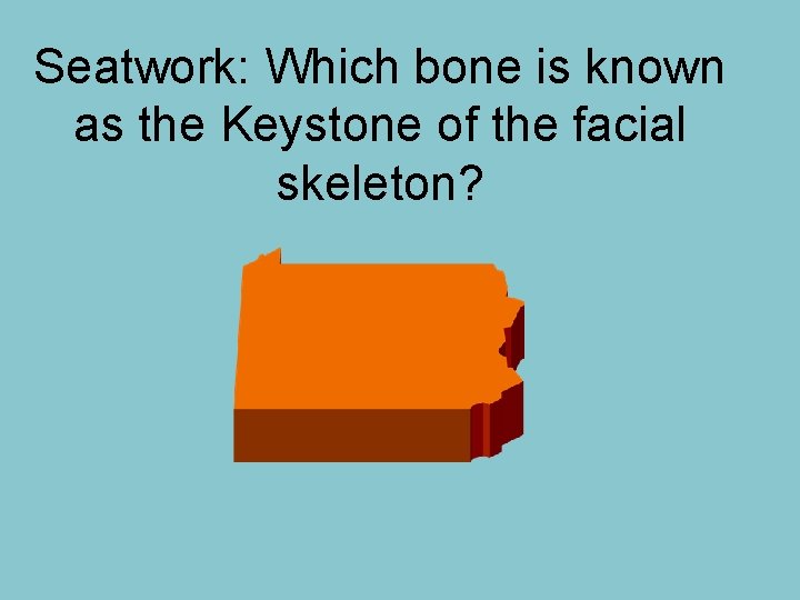 Seatwork: Which bone is known as the Keystone of the facial skeleton? 