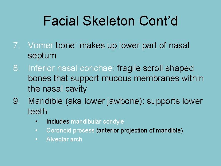 Facial Skeleton Cont’d 7. Vomer bone: makes up lower part of nasal septum 8.