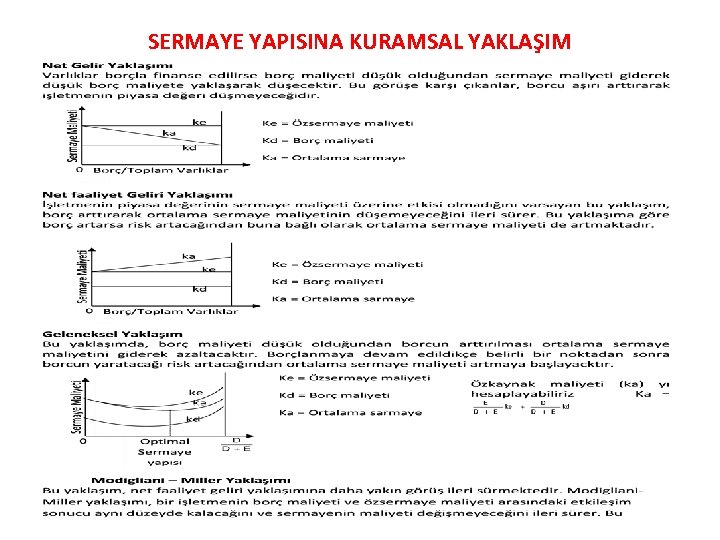 SERMAYE YAPISINA KURAMSAL YAKLAŞIM 