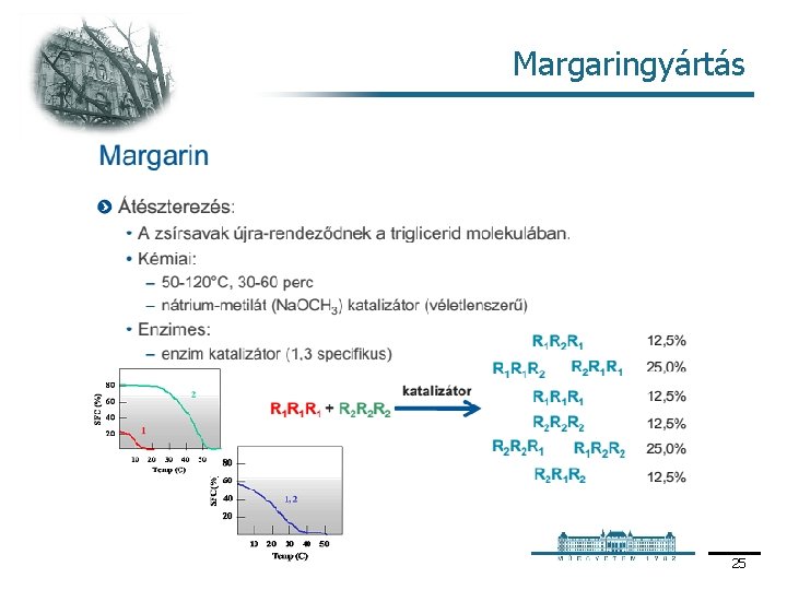 Margaringyártás 25 