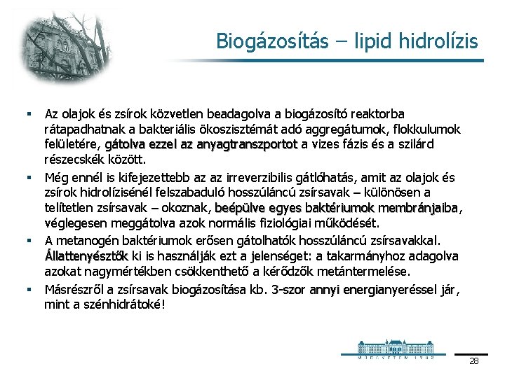 Biogázosítás – lipid hidrolízis § § Az olajok és zsírok közvetlen beadagolva a biogázosító