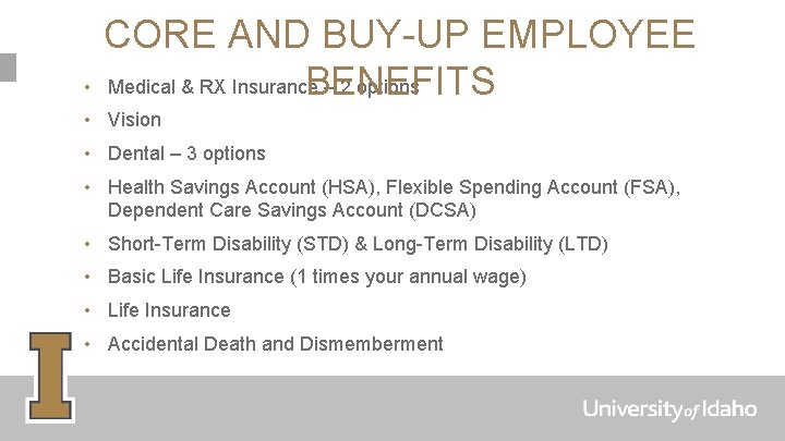  • CORE AND BUY-UP EMPLOYEE Medical & RX Insurance – 2 options BENEFITS